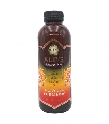 Guayusa Turmeric Alive Sparkling Cider, 16 fl oz, GTS _ Whole Foods Market-1.jpg