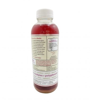 Hibiscus No. 7 Enlightened Kombucha, 16 fl oz, GT's Kombucha _ Whole Foods Market-1.jpg
