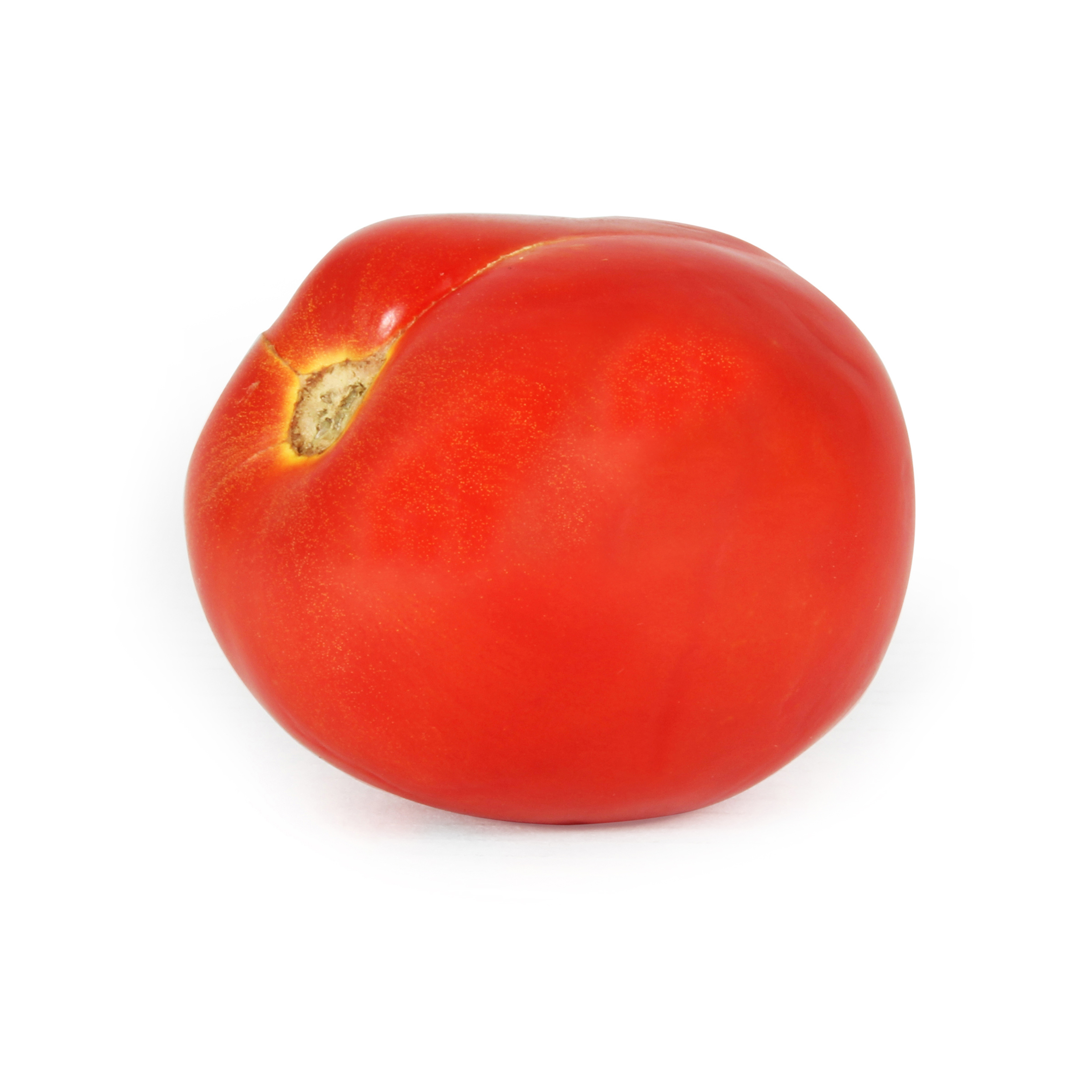 Roma Tomato Roma Tomato